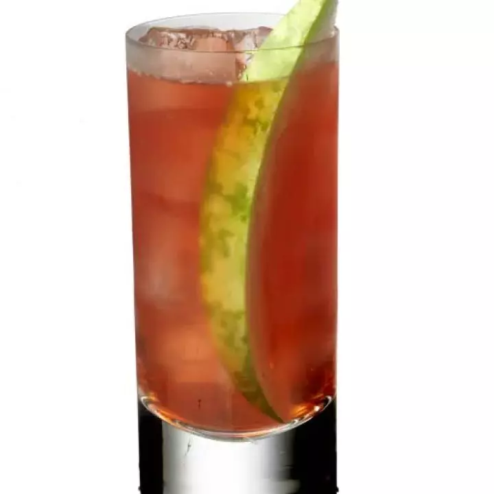 Watermelon Cooler