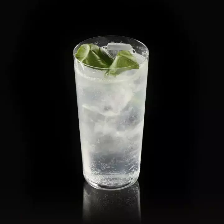 Gin Basil Spritz