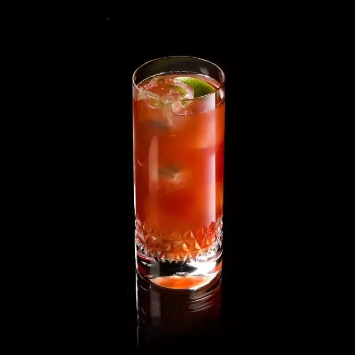 Cape Codder