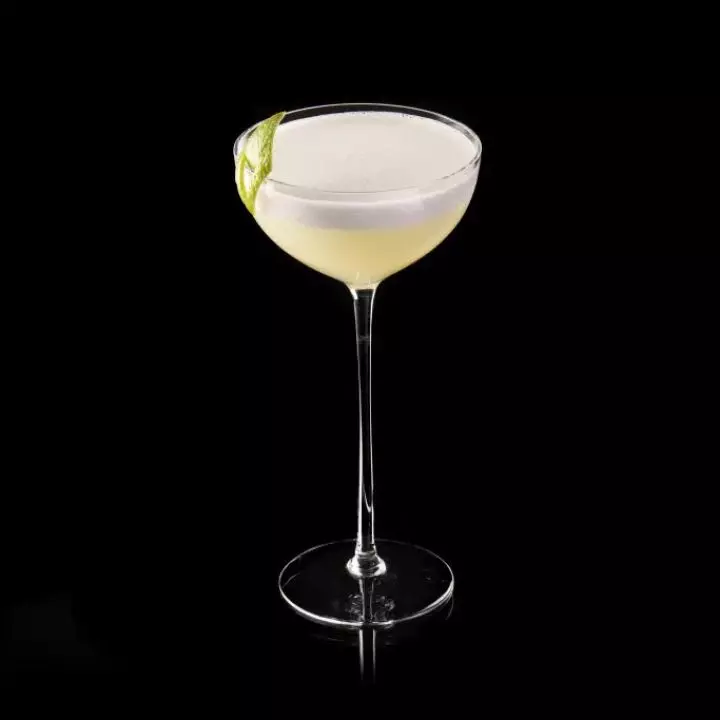 Daiquiri Sour