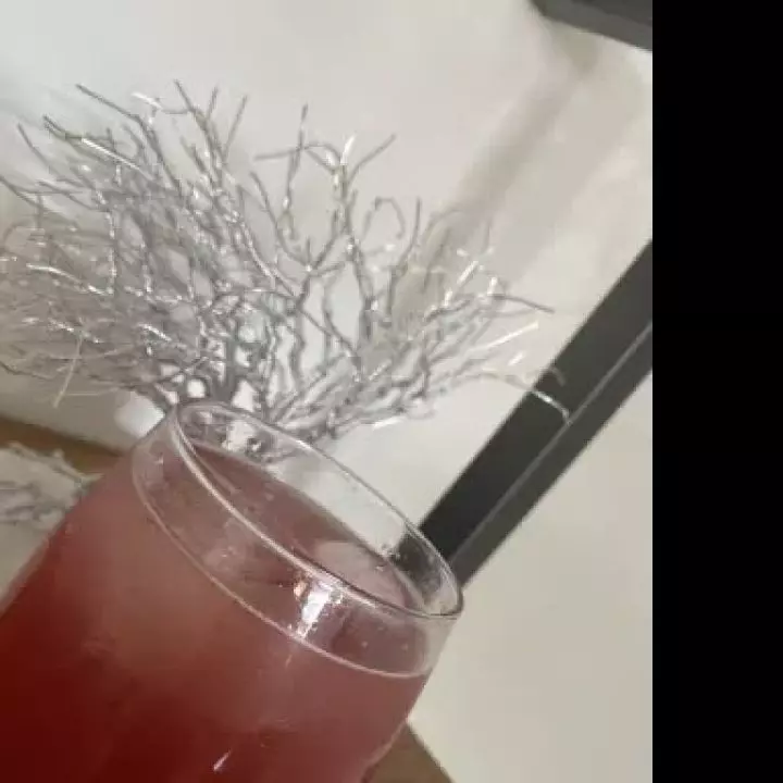 Cherry-Hibiscus Gin Spritz