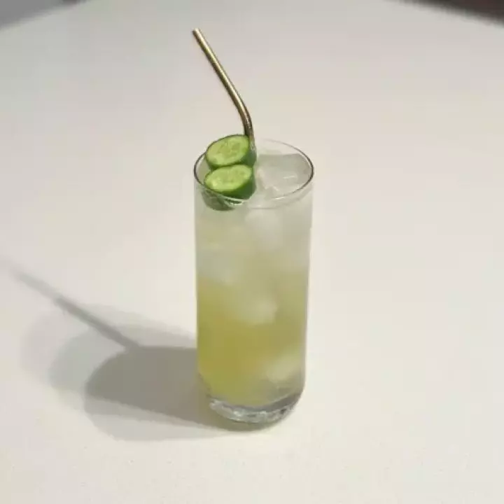 El Jardin de Agave