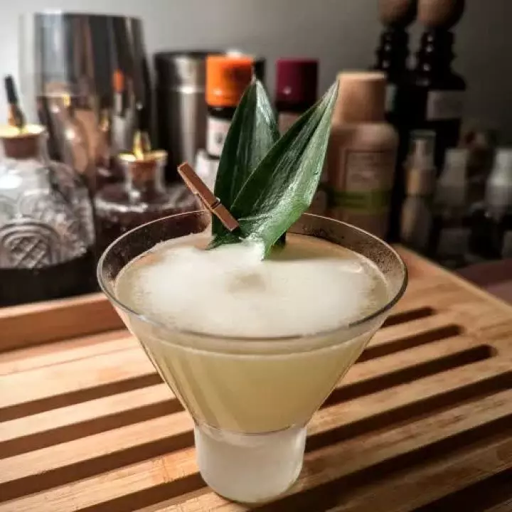 Espina de Cactus