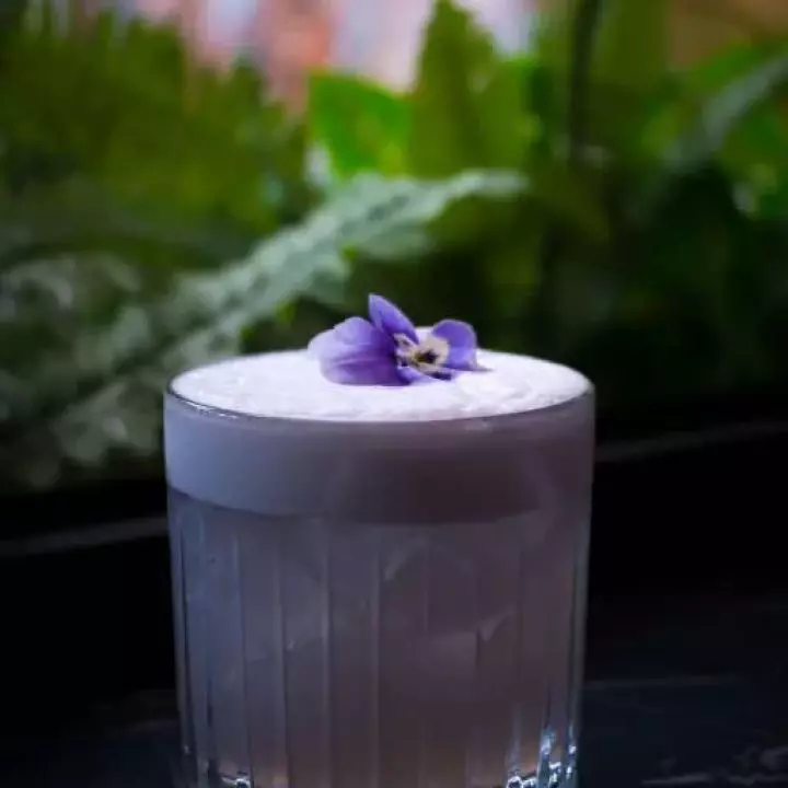 Violet's Tale