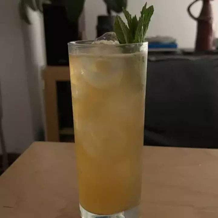 The Jasmin