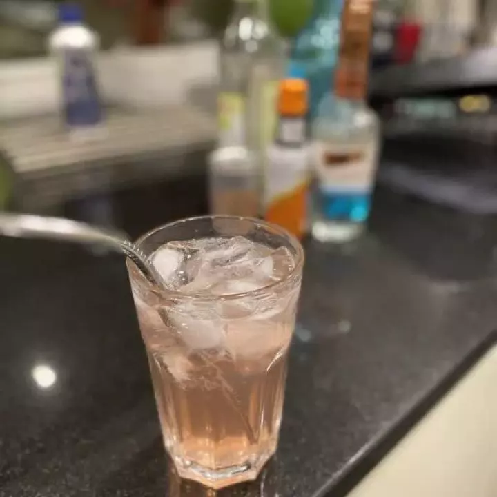 Gin sour and tonic