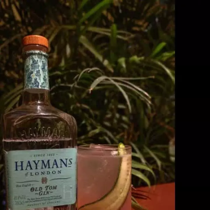 Haymans Pomegranate and Cucumber Tonic