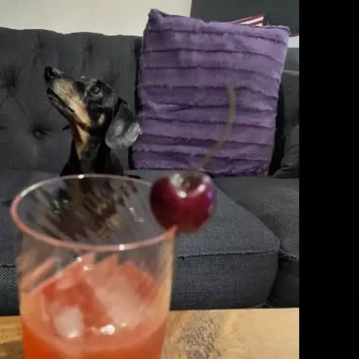Treacle's Cherry Nose