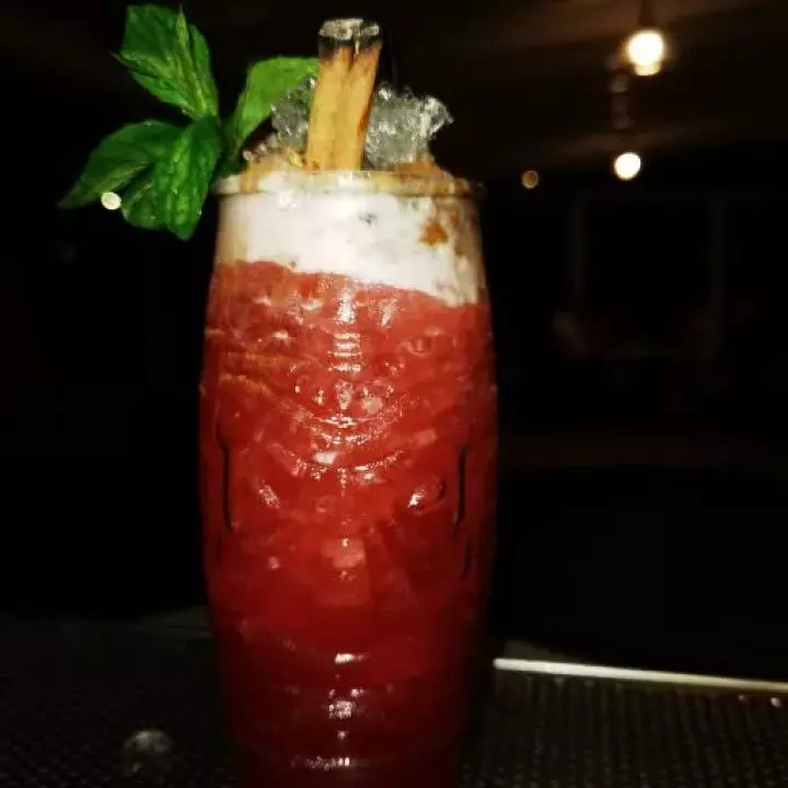 Tropical Oasis