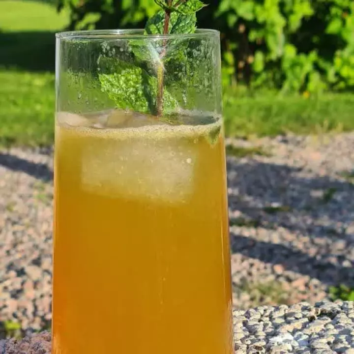 The Menta Collins