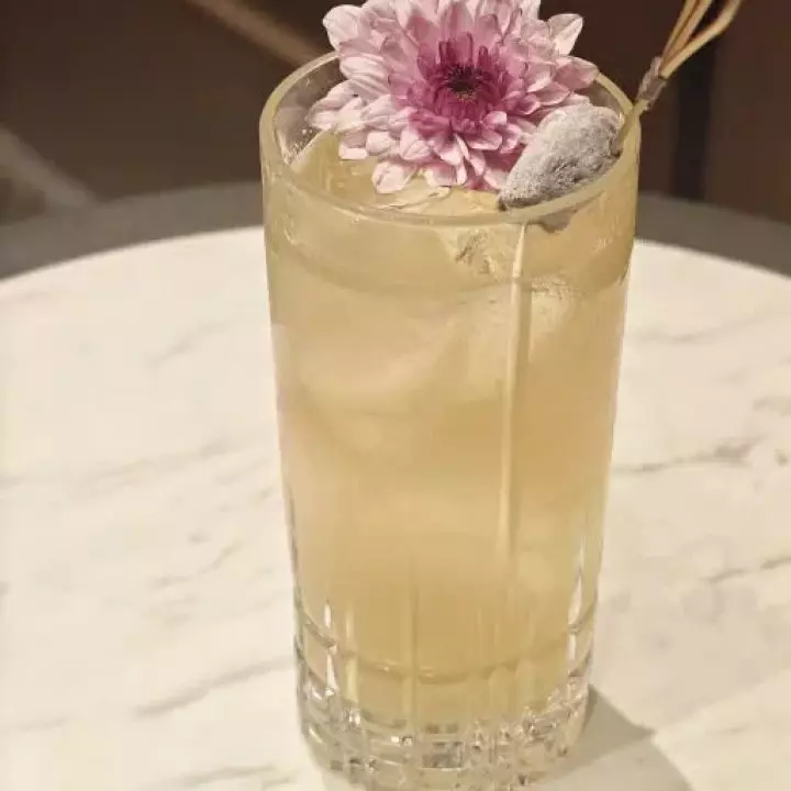 金梅香韵