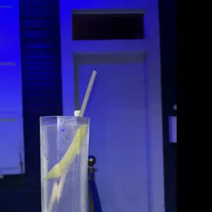 Limonsonica