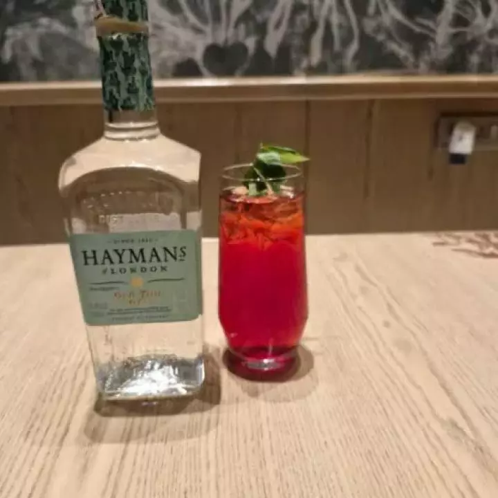 Bloody fizz