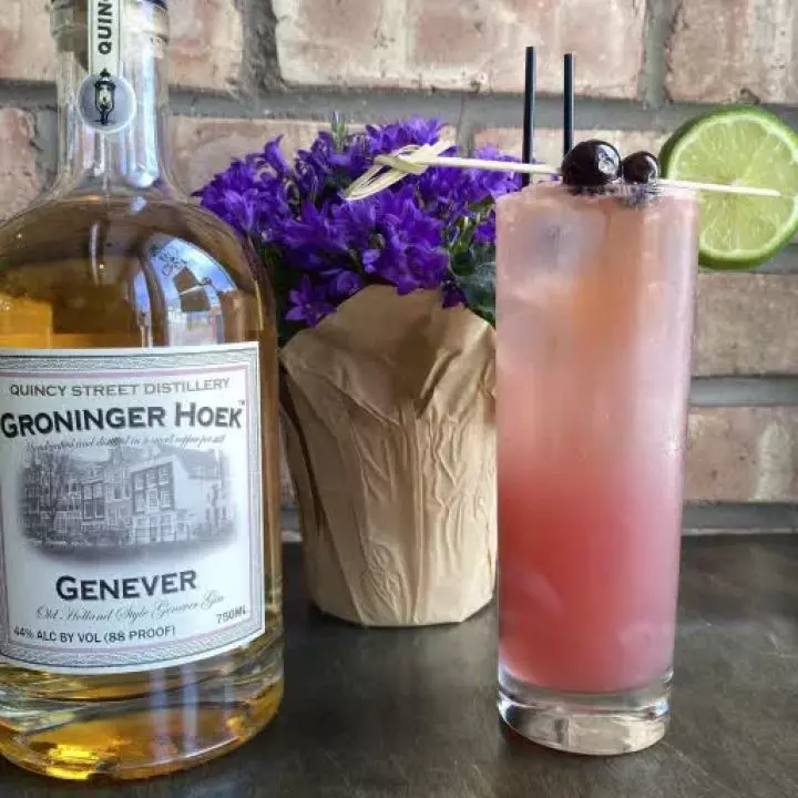 Spring Sling