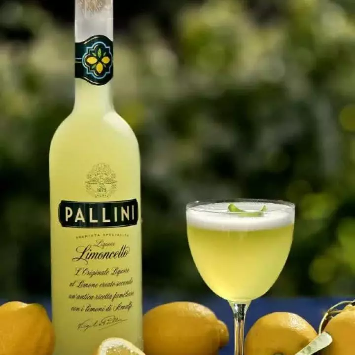 Solini