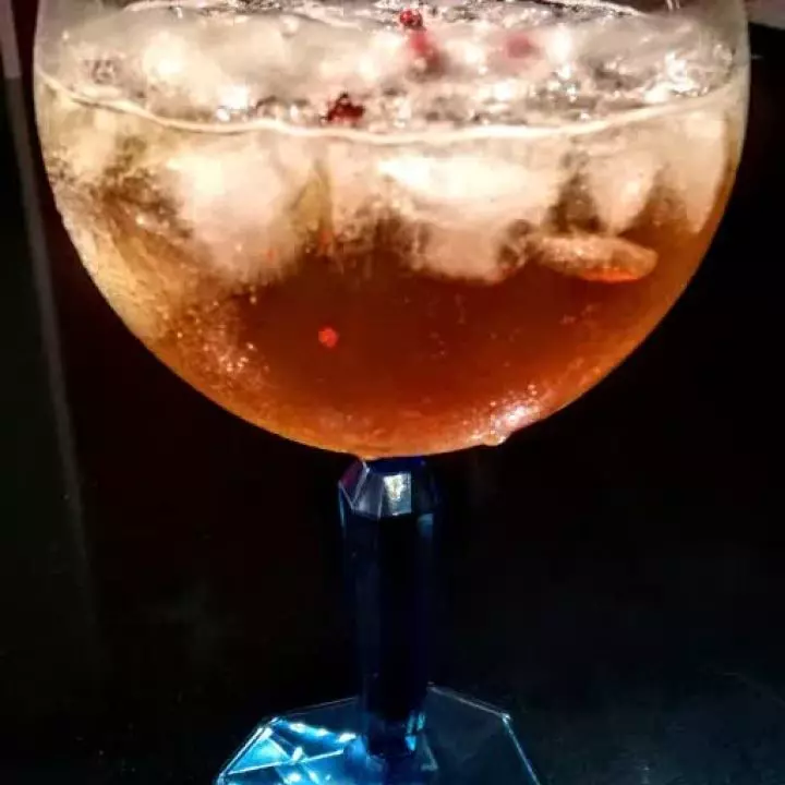 Gink Tonik