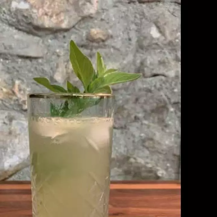 Monkey puzzle tea