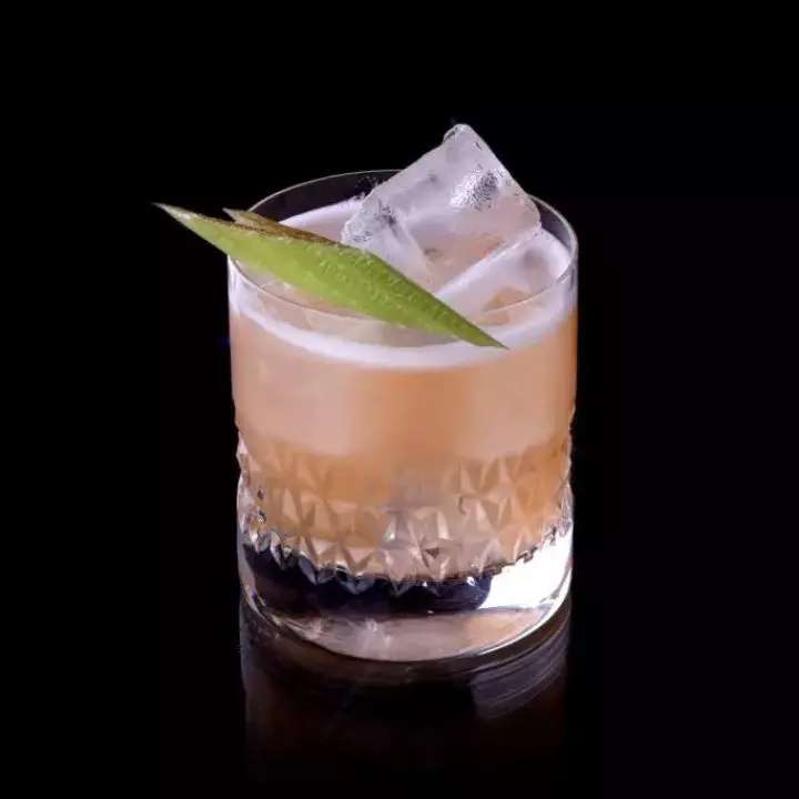 Celery Gin Sour