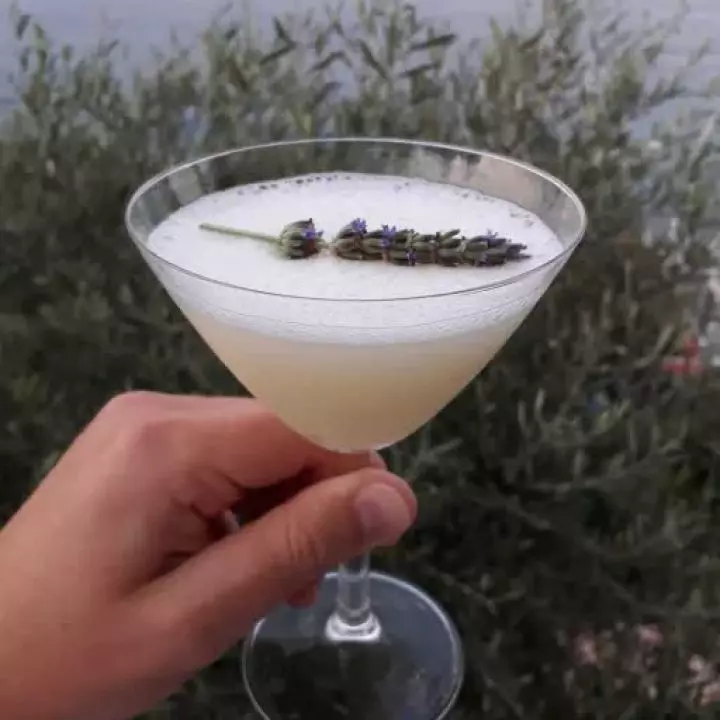 Epidavros Sour