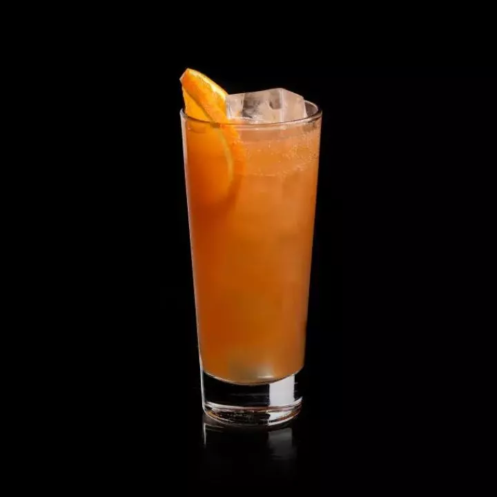 Frisky Whiskey Highball