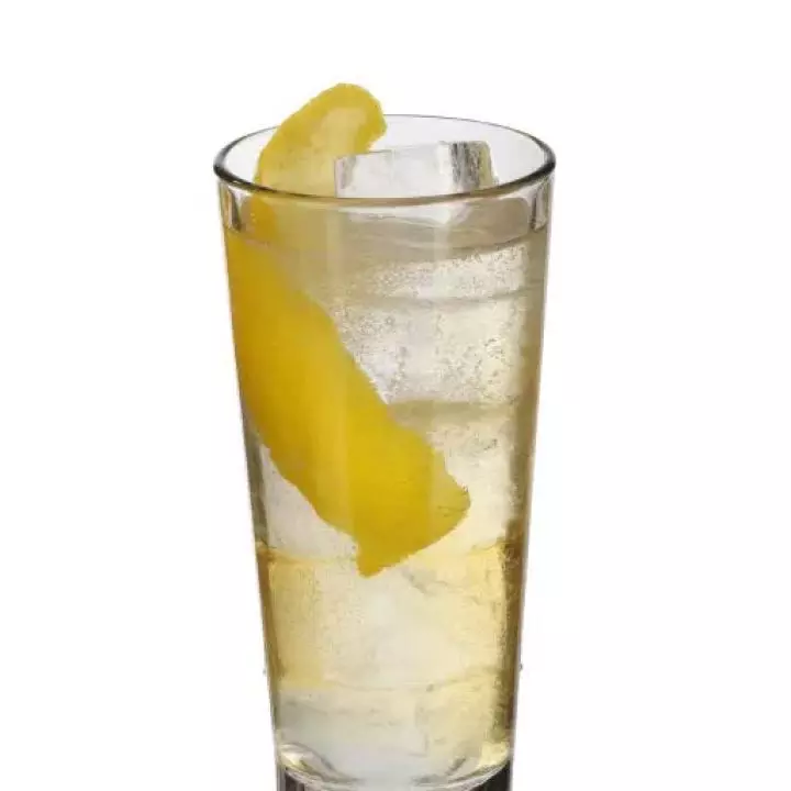 Scotch Whisky Highball