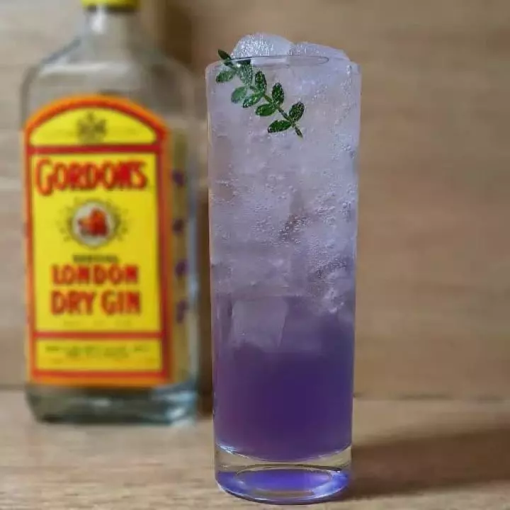 Violet Fizz