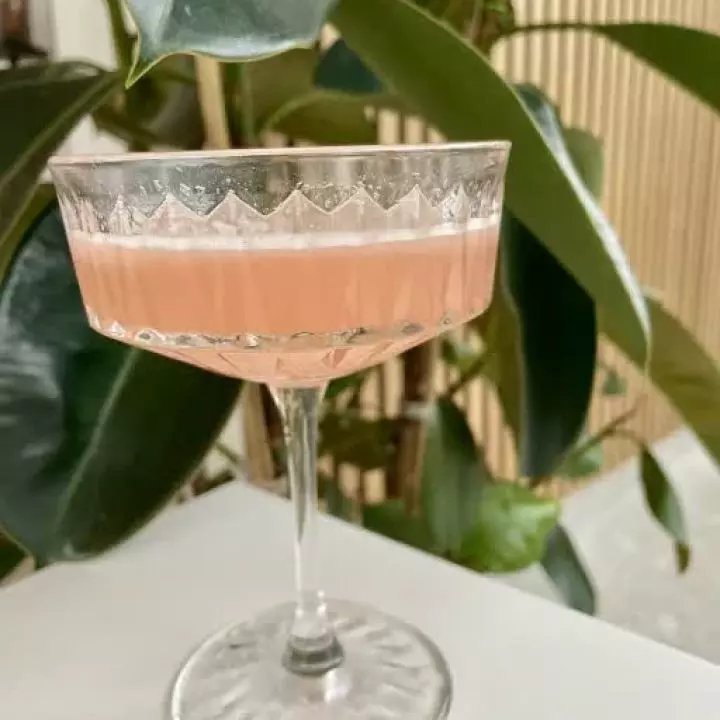 Pink Gringo
