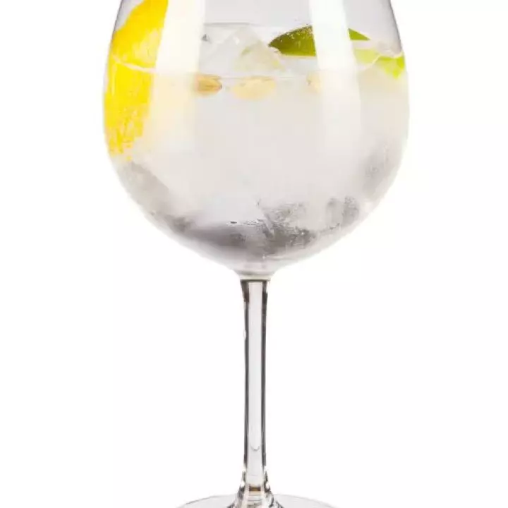 Gin Tonica