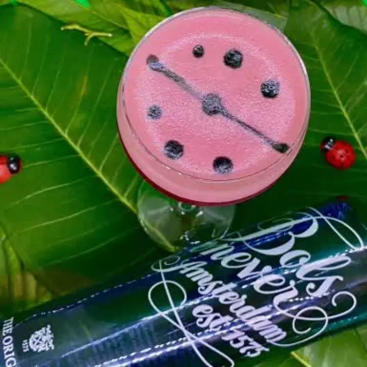 The Ladybug
