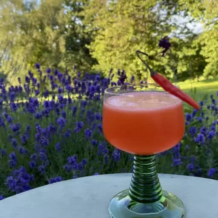 Hot Red Strawberry