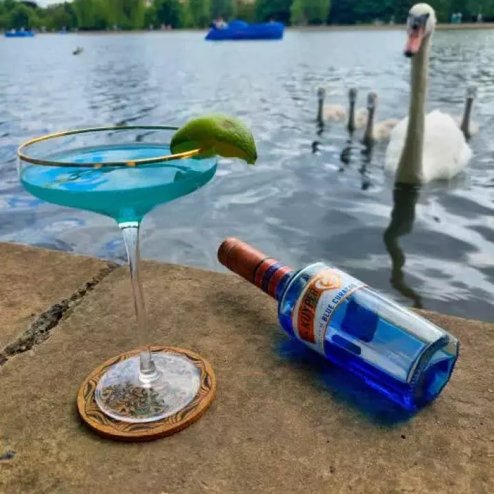 Pedalo Drag Race