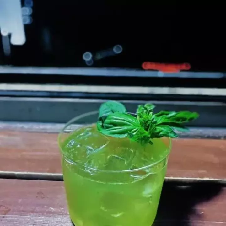 暹罗猫