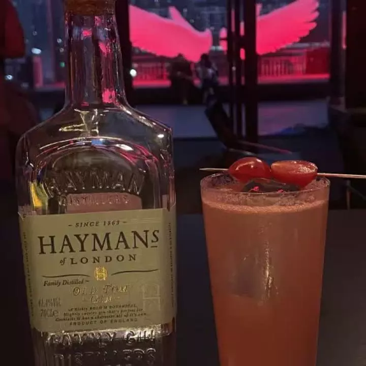 Tomato Gin Fizz