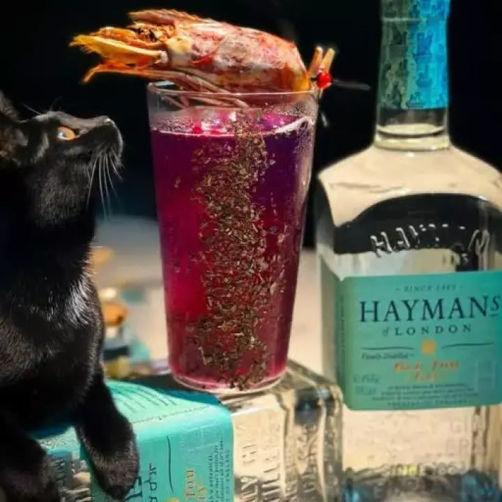 HayCat