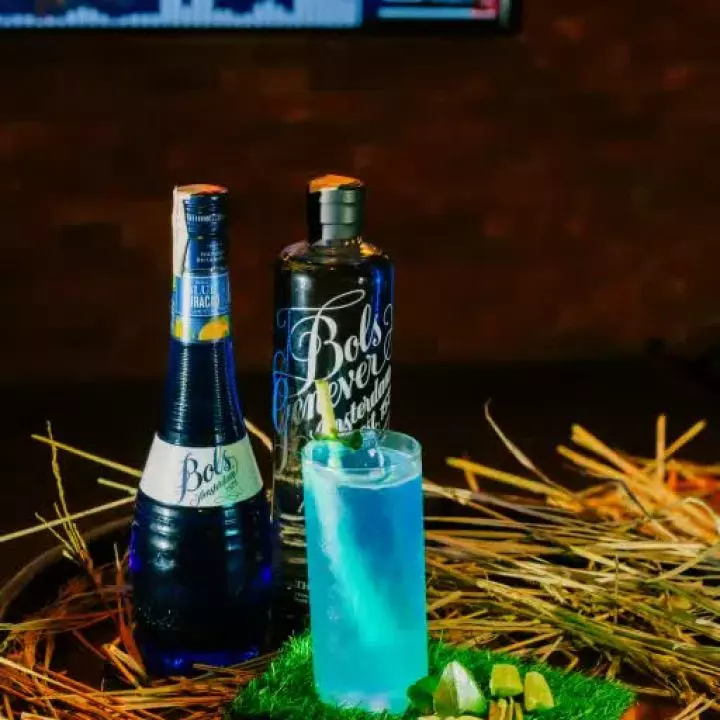 Nusantara blue Groove