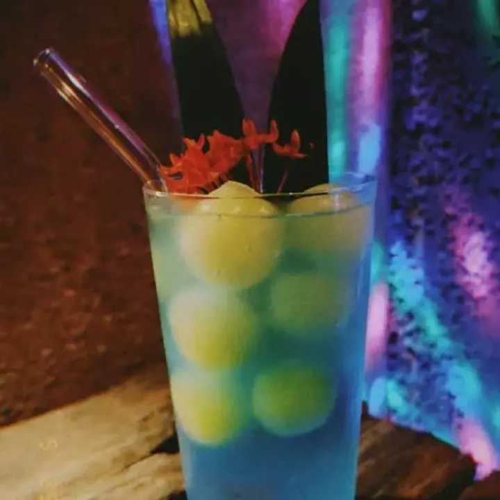 Meet The Tummy Tonic
