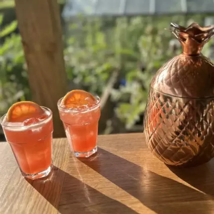 Paloma Punch