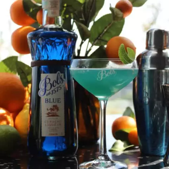 Blue Jamaican Yacht Club
