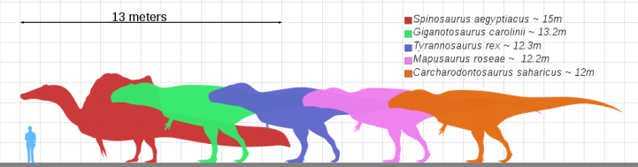 Groessenvergleich T-Rex