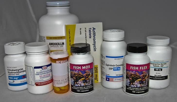 A COMPREHENSIVE OVERVIEW OF SULFONAMIDES AND QUINOLONES A COMPREHENSIVE OVERVIEW OF SULFONAMIDES AND QUINOLONES
