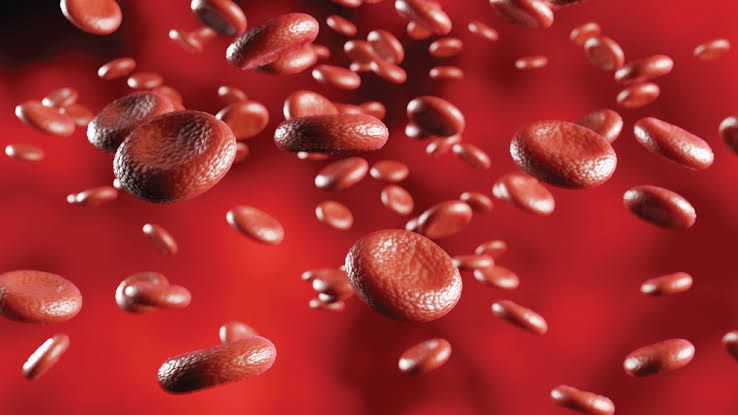 PATHOGENESIS OF HAEMOGLOBINOPATHIES: KEY INSIGHTS AND BREAKTHROUGHS