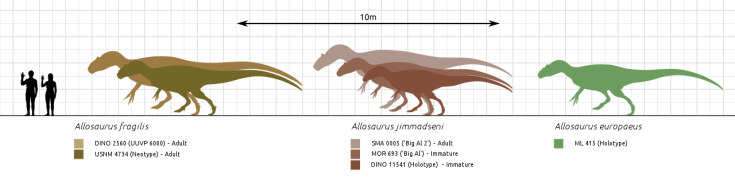 Allosaurus Größenvergleich