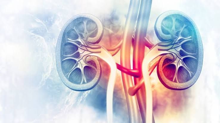 TUBULOINTERSTITIAL NEPHRITIS: URINARY TRACT INFECTION TUBULOINTERSTITIAL NEPHRITIS: URINARY TRACT INFECTION