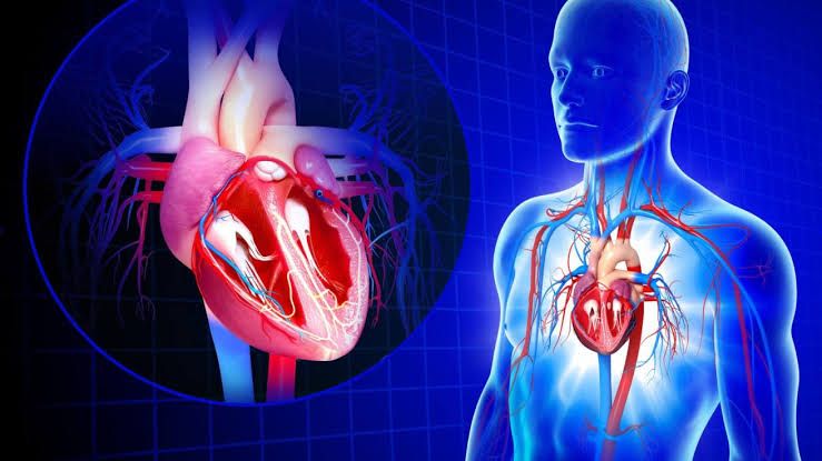 EXPLORING THE FUNDAMENTALS OF CVS PHARMACOLOGY