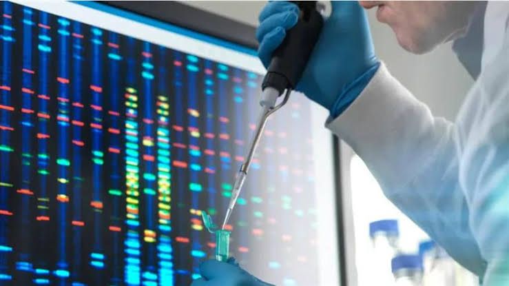 DNA TYPING METHODS