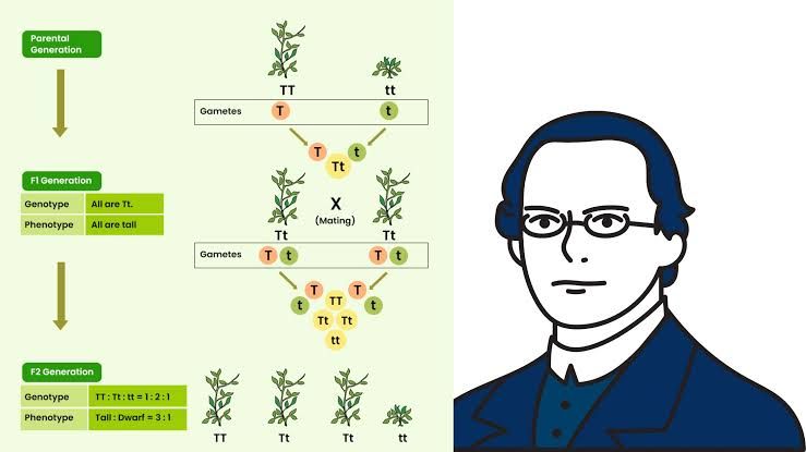 MOLECULAR GENETICS: EXPLORING THE SCIENCE OF INHERITANCE MOLECULAR GENETICS: EXPLORING THE SCIENCE OF INHERITANCE