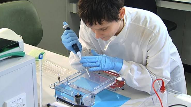AGAROSE GEL ELECTROPHORESIS OF GENOMIC DNA OR PLASMID DNA AGAROSE GEL ELECTROPHORESIS OF GENOMIC DNA OR PLASMID DNA