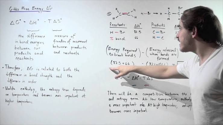 BIOENERGETICS AND THERMODYNAMICS BIOENERGETICS AND THERMODYNAMICS
