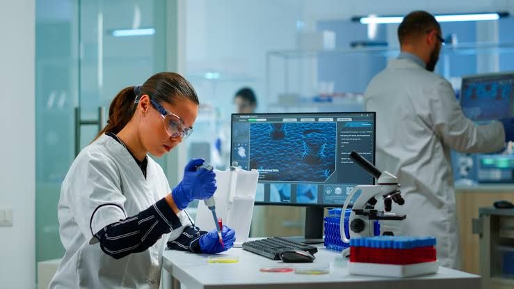 PCR AMPLIFICATION OF scoC GENE AND ANALYSIS BY AGAROSE GEL ELECTROPHORESIS PCR AMPLIFICATION OF scoC GENE AND ANALYSIS BY AGAROSE GEL ELECTROPHORESIS