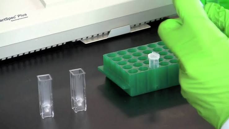 QUANTIFICATION OF DNA BY SPECTROPHOTOMETRY